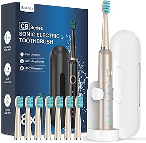 brosse a dent electrique
