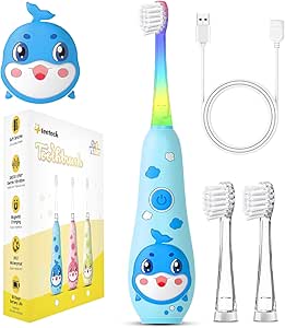 brosse a dent electrique